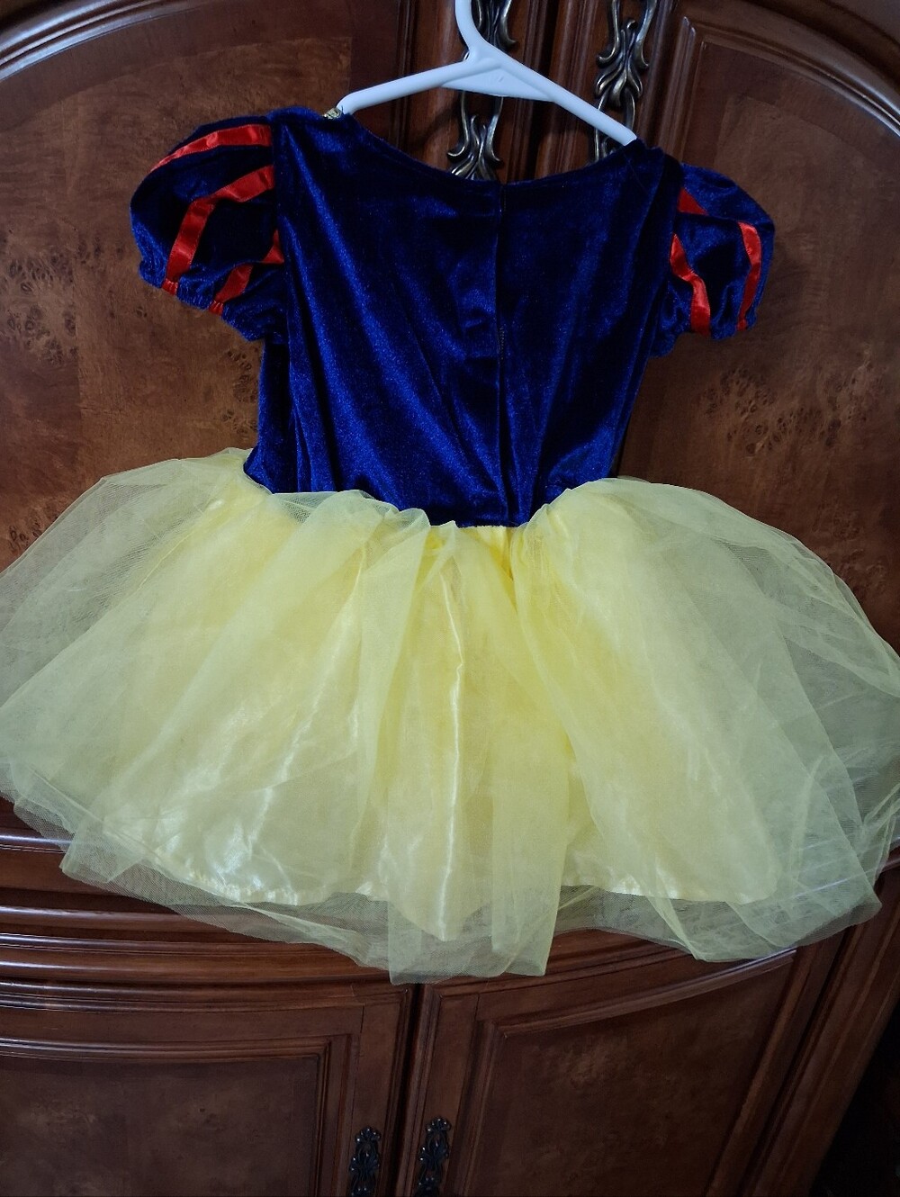 Classic Yellow & Blue Princess Tulle Costume Dress for Kids - Picture 2 of 4